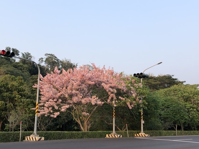 IMG_5680.JPG - 2019.4~