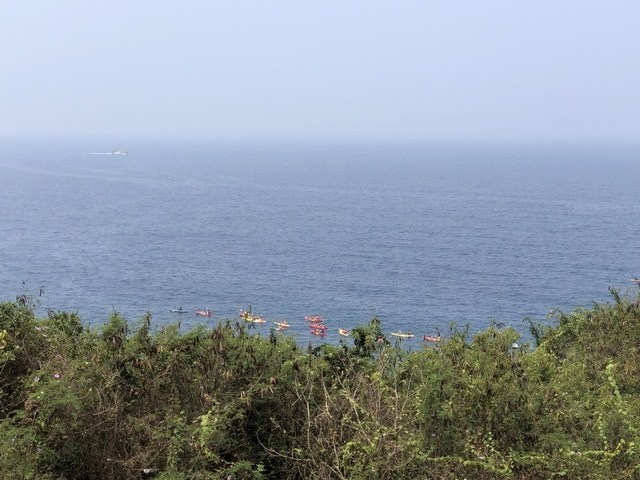 IMG_5887.JPG - 2019.4~