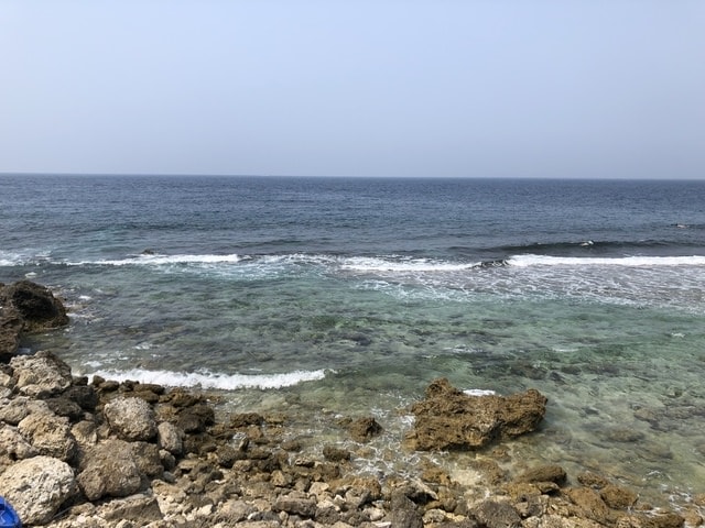 IMG_5908.JPG - 2019.4~