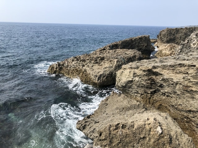 IMG_5924.JPG - 2019.4~