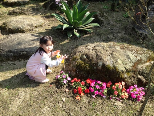 兩小花童相見歡（2012.1.27）