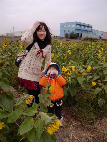 龍年鹿港花燈（2012.2.19）