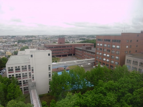 被颱風追著跑的北海道公務行-3 (2012.6.19-22)