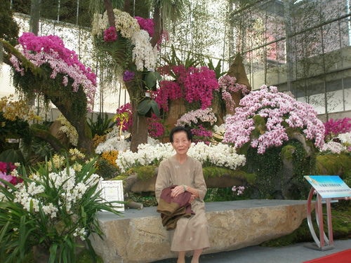 帶阿嬤看蘭展（2009.3.13）