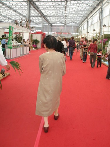 帶阿嬤看蘭展（2009.3.13）