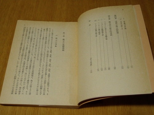 丸子的大前輩