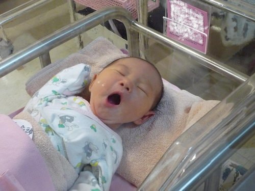 小米妮誕生篇