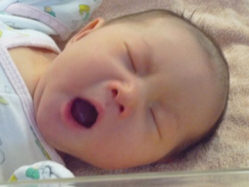 小米妮誕生篇