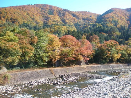 日本白川鄉與高山市賞楓篇（2008.11.5-6）