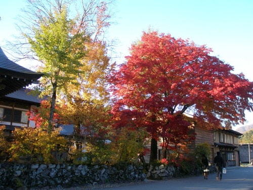 日本白川鄉與高山市賞楓篇（2008.11.5-6）