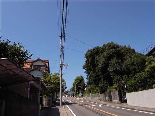今日的天空好蔚藍