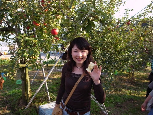 信州採蘋果（2009.10.31）