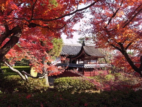 日本法隆寺一日遊(2009.12.2)