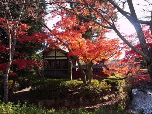 日本法隆寺一日遊(2009.12.2)