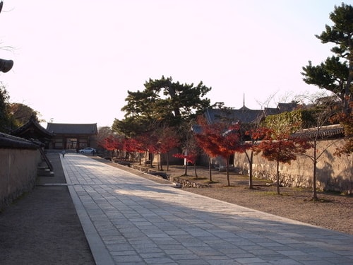 日本法隆寺一日遊(2009.12.2)