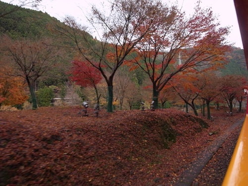 再訪京都嵐山(2009.12.4)