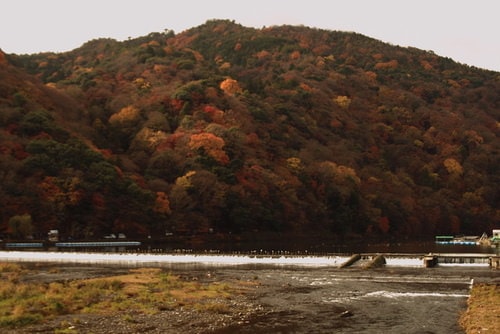 再訪京都嵐山(2009.12.4)