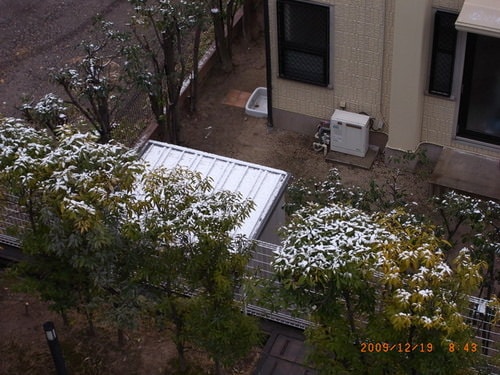 插播: 獎學活動的忘年會(2009.12.19)