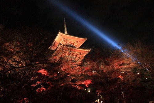 金閣寺清水寺(2009.12.5)