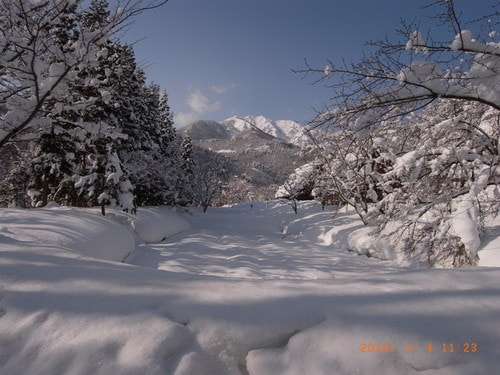 小小同學會之白色世界合掌村(2010.1.4)