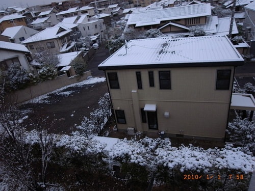 頹廢的日本2010新年