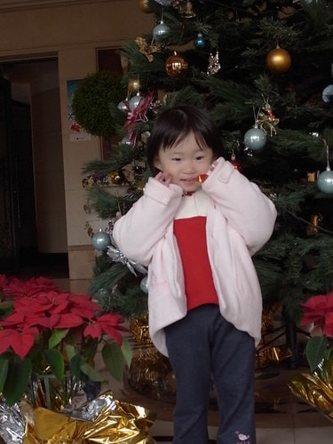 2010年聖誕節（2010.12.25-26）