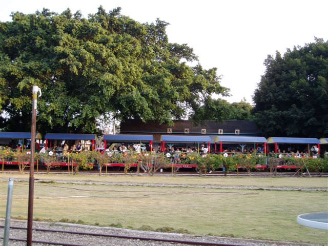 2005.1.1烏樹林糖廠（與佐藤老師）:糖廠火車遠景