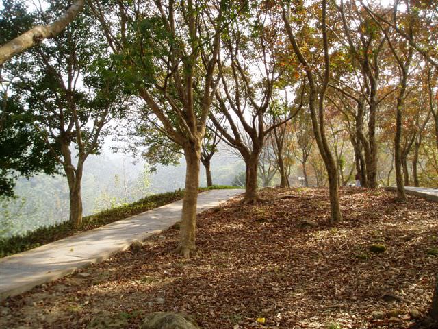 2005.12 日三A關子嶺班遊:紅葉公園