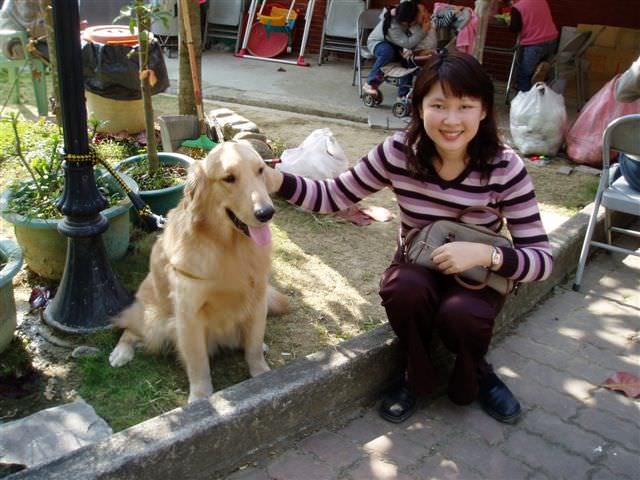 2005.12 日三A關子嶺班遊:黃金獵犬