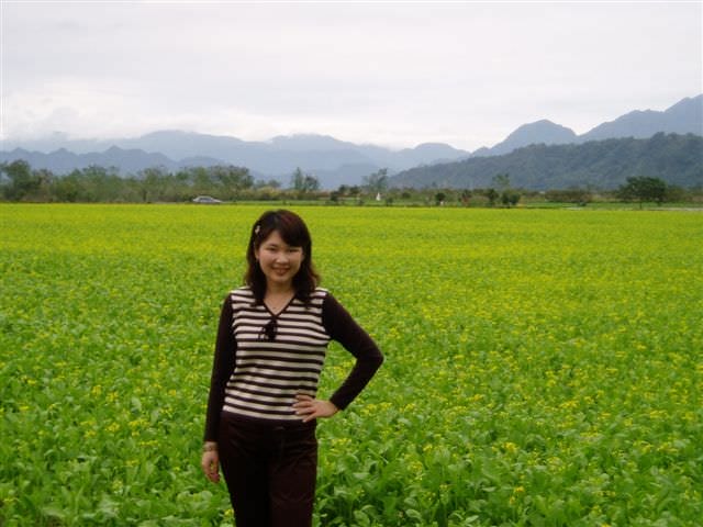 2006.1.16~18日3B花東三日遊:油菜花田