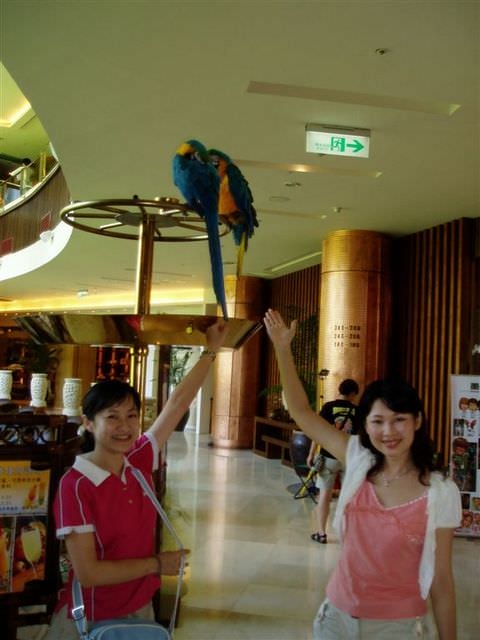 2006.8 夏日墾丁（舊相簿新敘述）:頭上有隻五彩顏色的鸚鵡