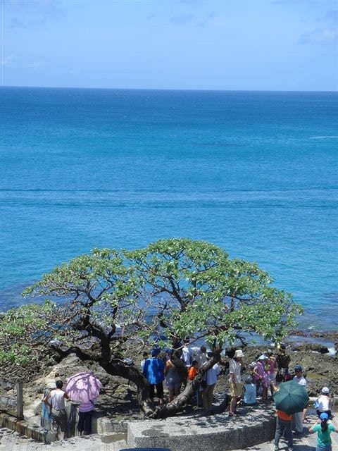 2006.8 夏日墾丁（舊相簿新敘述）:天氣好怎麼拍怎麼美