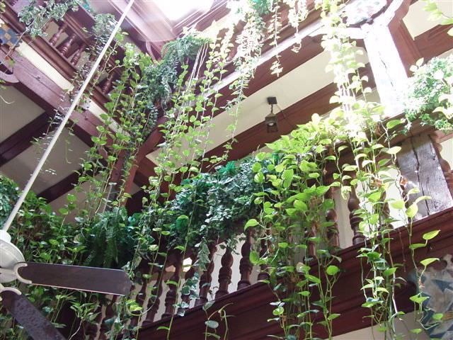 2006.6.25~7.4 德捷行-1:餐廳的上空