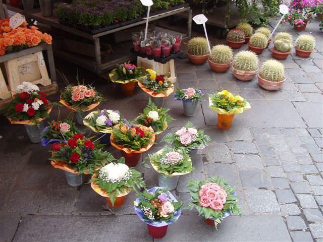 2006.6.25~7.4 德捷行-1:花店販售的花