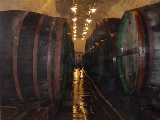 2006.6.25~7.4 德捷行-1:兩排大啤酒桶，中間是通行道