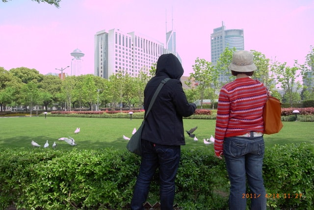 朝聖之旅-2 (2011.4.16-18）:咦？不是要進去博物館培養文化水準的嗎？怎麼來看鴿子？