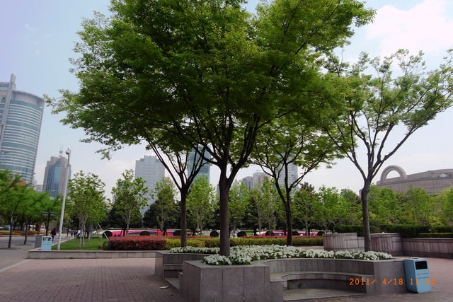朝聖之旅-2 (2011.4.16-18）:晴天又溫和的氣候，讓公園看起來綠意盎然
