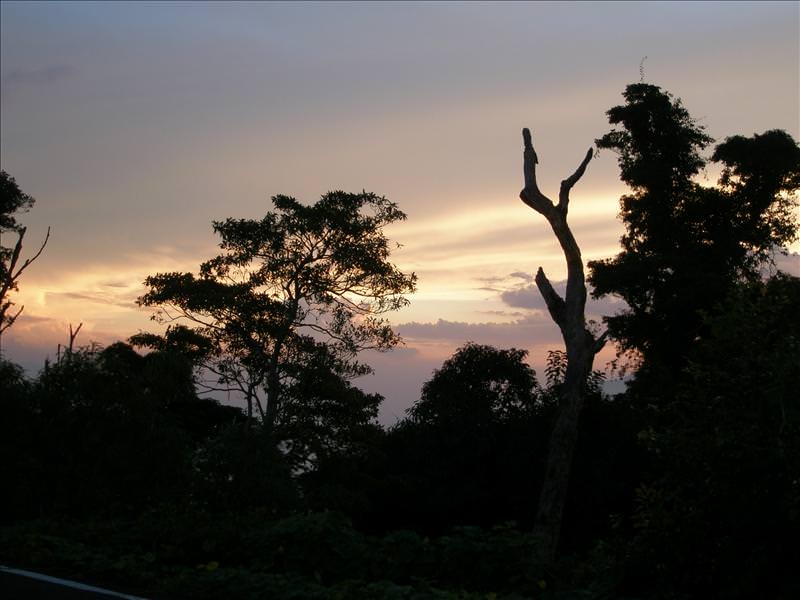 2008.9.9-10 清境農場:美麗的夕陽