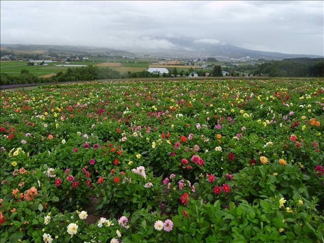 東瀛留學日記-夏日北海道（09.7.14-16）:但是即使天公不作美