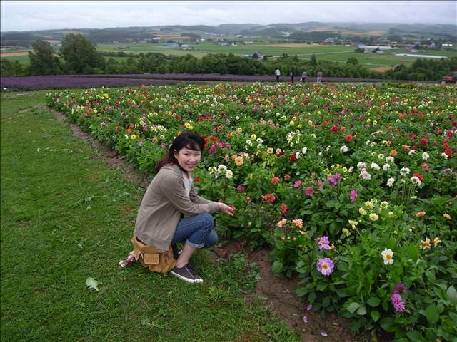 東瀛留學日記-夏日北海道（09.7.14-16）:花田依然美艷