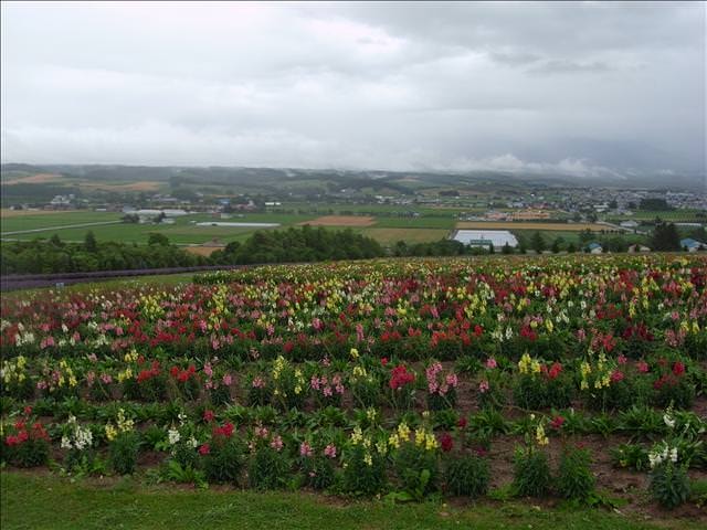 東瀛留學日記-夏日北海道（09.7.14-16）: