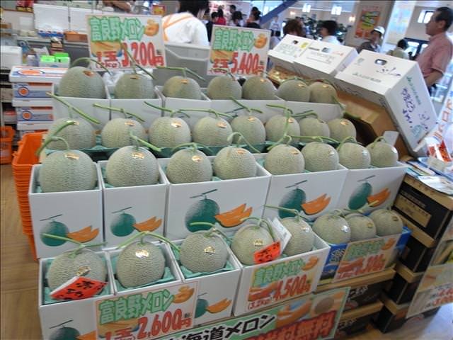 東瀛留學日記-夏日北海道（09.7.14-16）:多汁又甜的北海道生產的哈密瓜