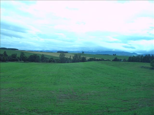 東瀛留學日記-夏日北海道（09.7.14-16）:車窗外的風景