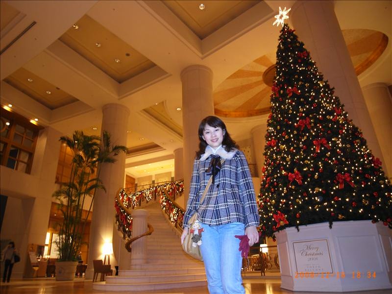 東瀛留學日記之東京行(2008.12.16 泰國料理&台場):台場區的日航酒店，丸子曾經住過這裡