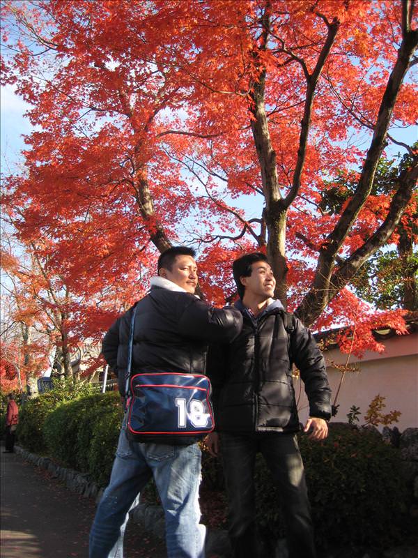 東瀛留學日記之京都嵐山賞楓(2008.12.1):男生二人組，這是仰天長嘯？？還是熱血陽光男孩？