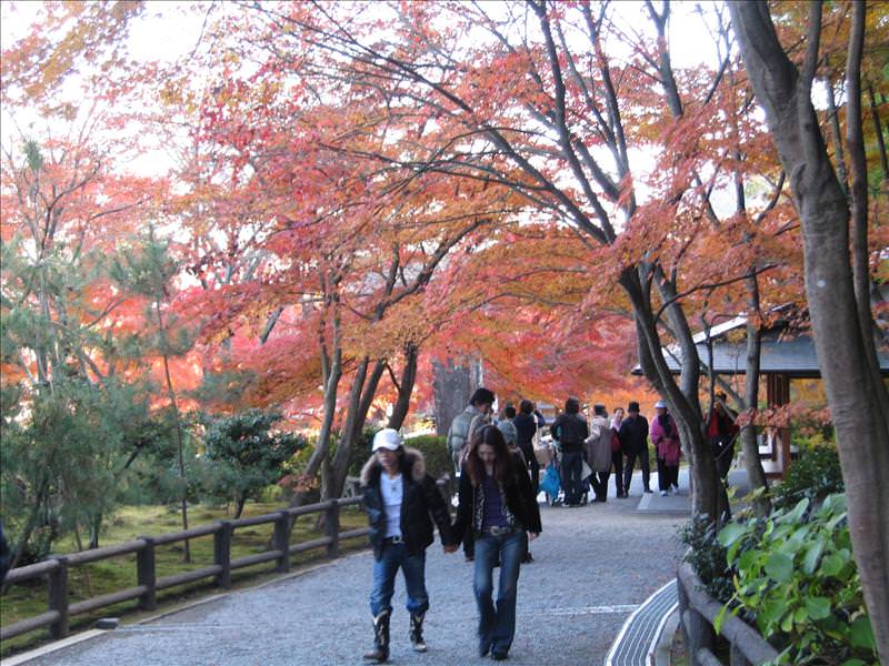 東瀛留學日記之京都嵐山賞楓(2008.12.1):紅楓下的日本庭園
