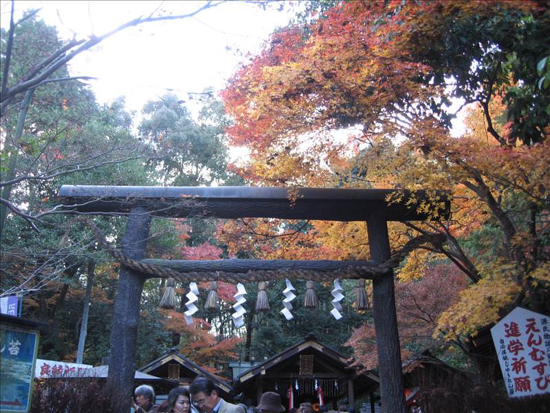 東瀛留學日記之京都嵐山賞楓(2008.12.1):這間是神社，感覺香火鼎盛哩