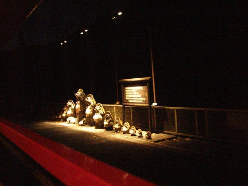 東瀛留學日記之京都嵐山賞楓(2008.12.1):途中遇到站在月台目送遊客們的日本狸