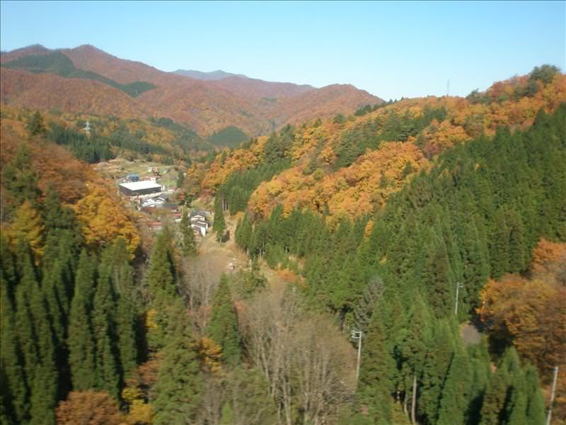 東瀛留學日記之又見合掌村高山古街(2008.11.5-6):滿山秋紅