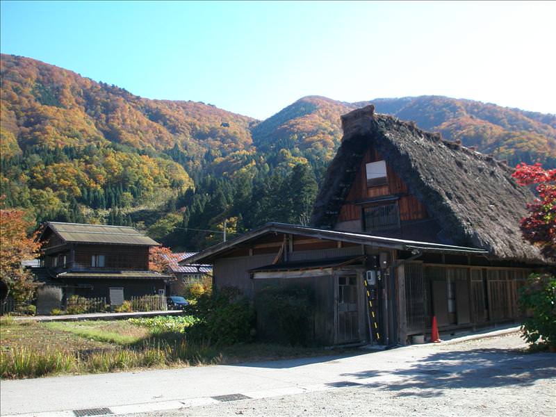 東瀛留學日記之又見合掌村高山古街(2008.11.5-6):紅葉＋合掌建築